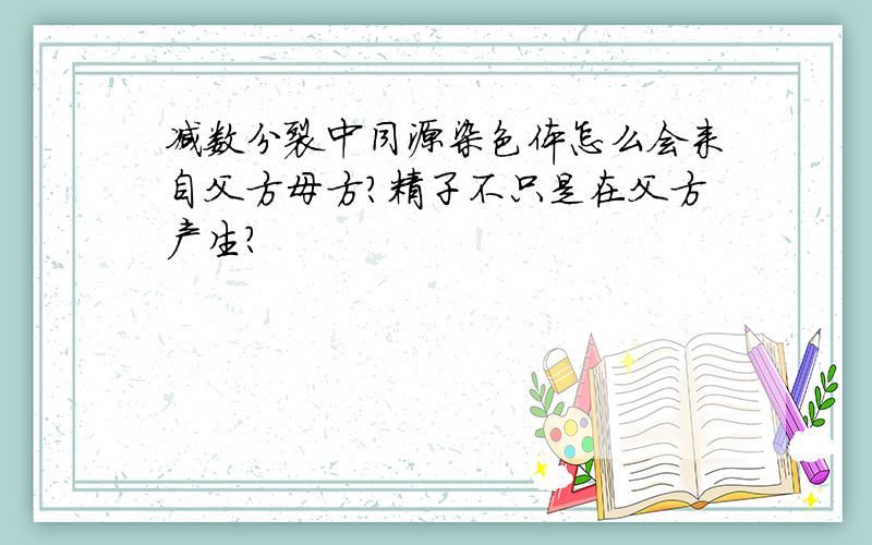 减数分裂中同源染色体怎么会来自父方母方?精子不只是在父方产生?