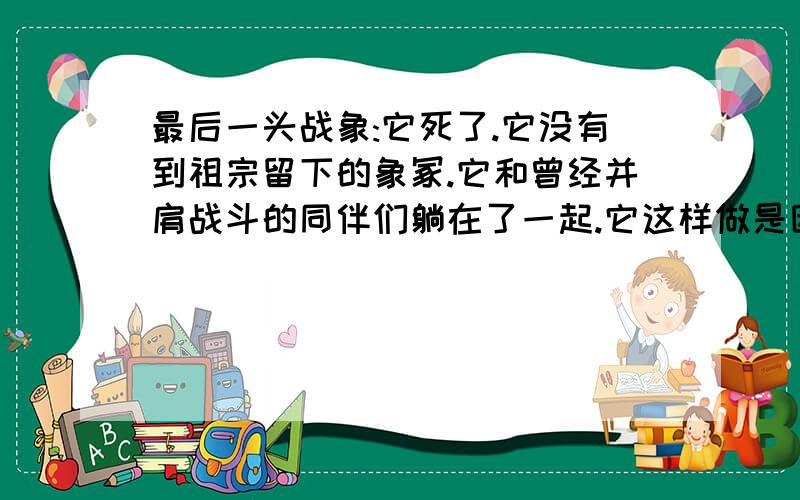 最后一头战象:它死了.它没有到祖宗留下的象冢.它和曾经并肩战斗的同伴们躺在了一起.它这样做是因为