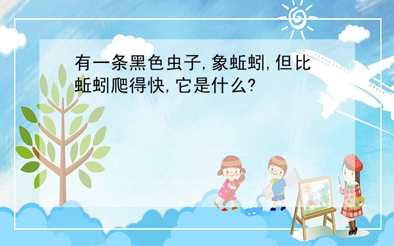 有一条黑色虫子,象蚯蚓,但比蚯蚓爬得快,它是什么?