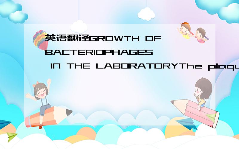 英语翻译GROWTH OF BACTERIOPHAGES IN THE LABORATORYThe plaque met