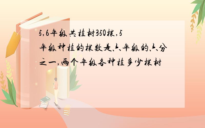 5,6年级共植树350棵,5年级种植的棵数是六年级的六分之一,两个年级各种植多少棵树