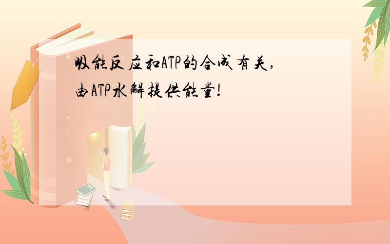 吸能反应和ATP的合成有关,由ATP水解提供能量!