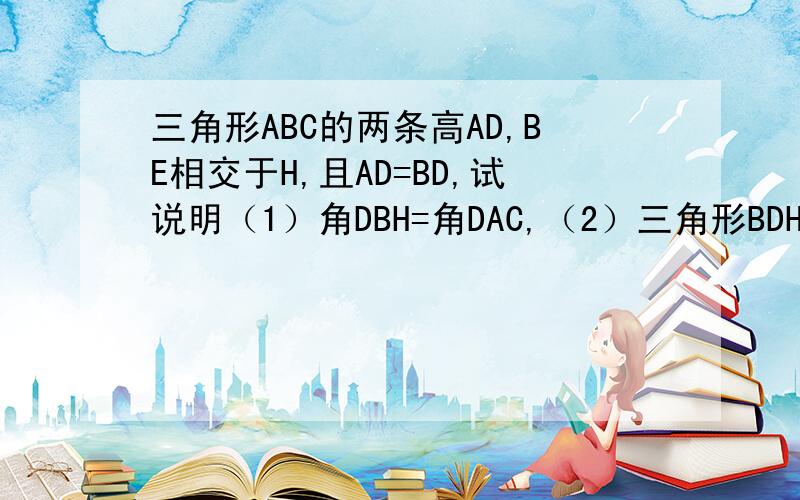 三角形ABC的两条高AD,BE相交于H,且AD=BD,试说明（1）角DBH=角DAC,（2）三角形BDH全等于三角形AD