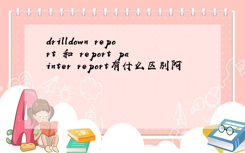 drilldown report 和 report painter report有什么区别阿