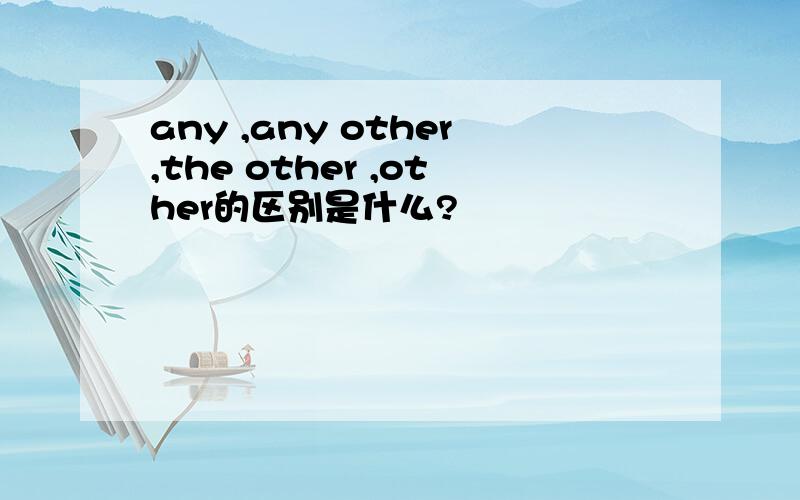 any ,any other,the other ,other的区别是什么?