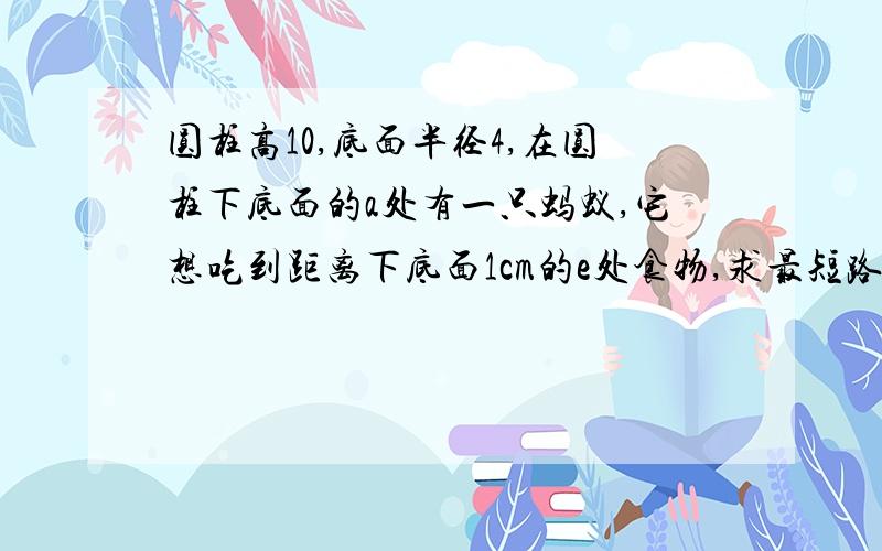 圆柱高10,底面半径4,在圆柱下底面的a处有一只蚂蚁,它想吃到距离下底面1cm的e处食物,求最短路程（