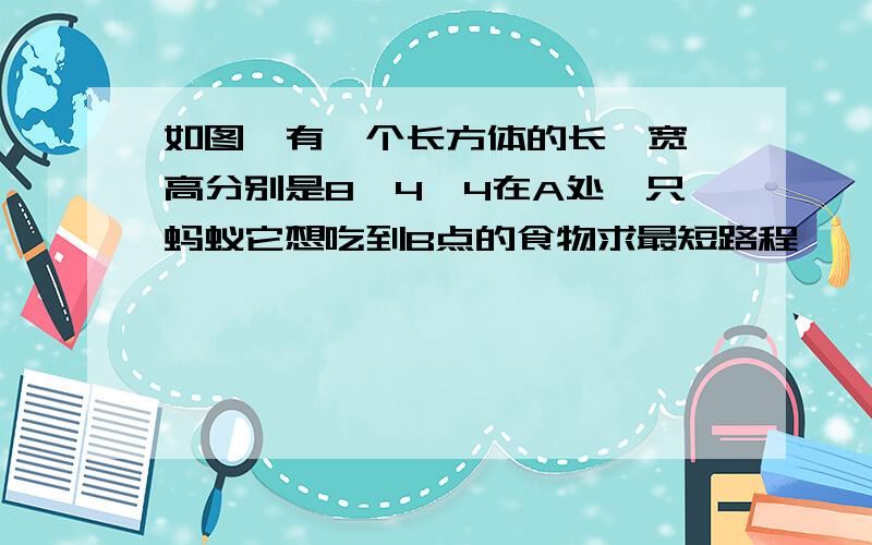 如图,有一个长方体的长,宽,高分别是8,4,4在A处一只蚂蚁它想吃到B点的食物求最短路程