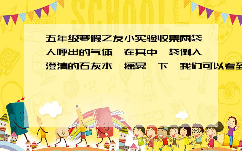 五年级寒假之友小实验收集两袋人呼出的气体,在其中一袋倒入澄清的石灰水,摇晃一下,我们可以看到什么?这个实验说明什么?