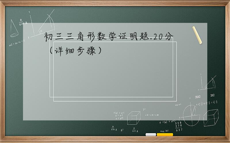 初三三角形数学证明题.20分（详细步骤）