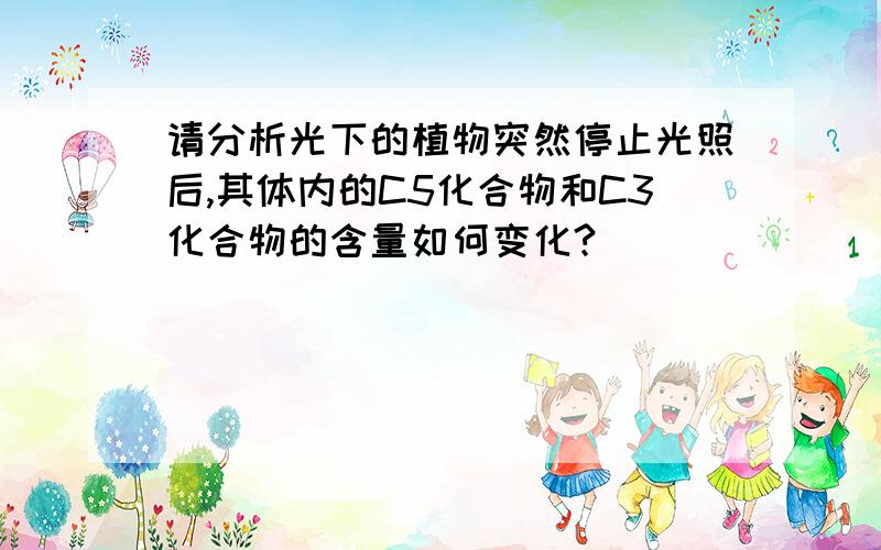 请分析光下的植物突然停止光照后,其体内的C5化合物和C3化合物的含量如何变化?