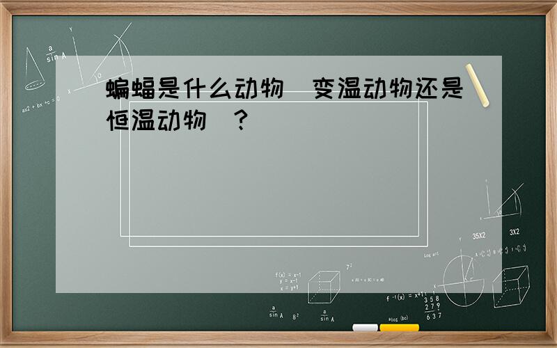 蝙蝠是什么动物（变温动物还是恒温动物）?