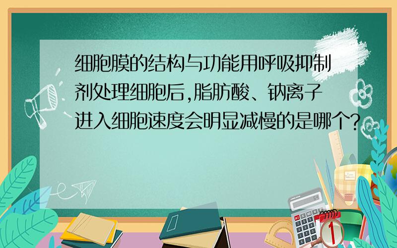 细胞膜的结构与功能用呼吸抑制剂处理细胞后,脂肪酸、钠离子进入细胞速度会明显减慢的是哪个?