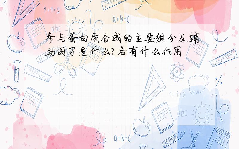 参与蛋白质合成的主要组分及辅助因子是什么?各有什么作用