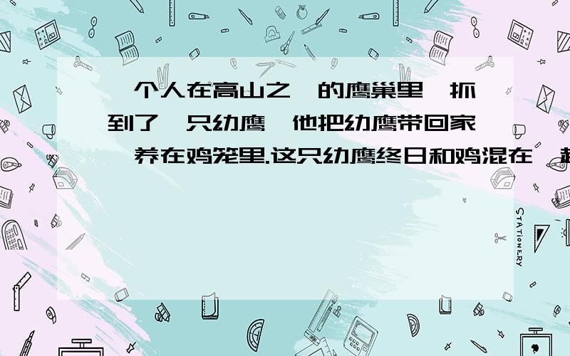 一个人在高山之巅的鹰巢里,抓到了一只幼鹰,他把幼鹰带回家,养在鸡笼里.这只幼鹰终日和鸡混在一起,和鸡一起啄食、戏闹和休息