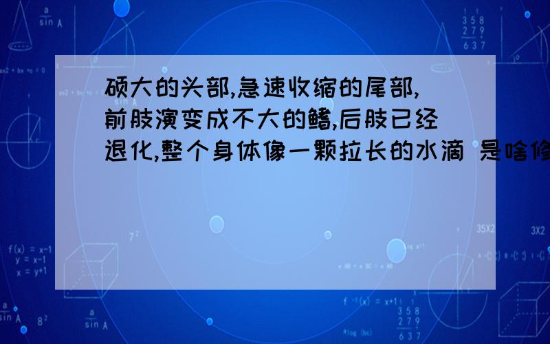 硕大的头部,急速收缩的尾部,前肢演变成不大的鳍,后肢已经退化,整个身体像一颗拉长的水滴 是啥修辞手法