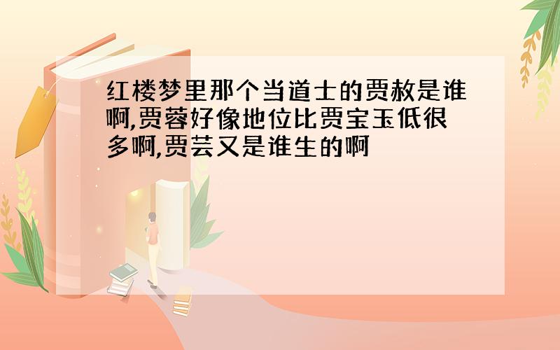 红楼梦里那个当道士的贾赦是谁啊,贾蓉好像地位比贾宝玉低很多啊,贾芸又是谁生的啊