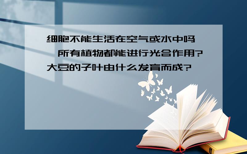 细胞不能生活在空气或水中吗 ,所有植物都能进行光合作用?大豆的子叶由什么发育而成?