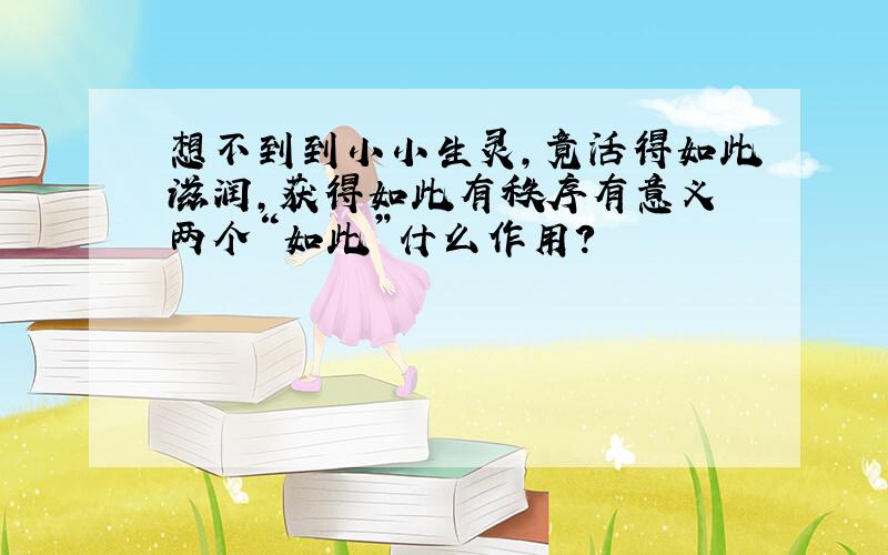 想不到到小小生灵,竟活得如此滋润,获得如此有秩序有意义 两个“如此”什么作用?