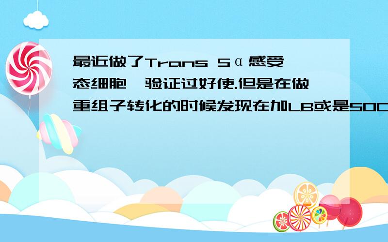 最近做了Trans 5α感受态细胞,验证过好使.但是在做重组子转化的时候发现在加LB或是SOC培养基在37°摇床一小时后