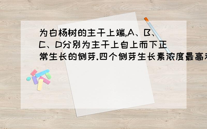 为白杨树的主干上端,A、B、C、D分别为主干上自上而下正常生长的侧芽.四个侧芽生长素浓度最高和摘去顶芽后最先发育成侧枝的