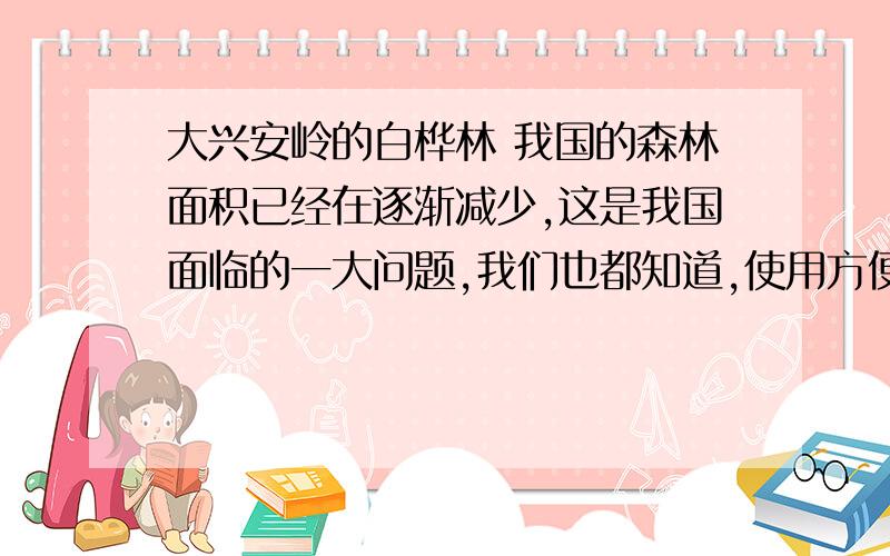 大兴安岭的白桦林 我国的森林面积已经在逐渐减少,这是我国面临的一大问题,我们也都知道,使用方便筷子就