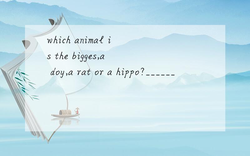 which animal is the bigges,a doy,a rat or a hippo?______