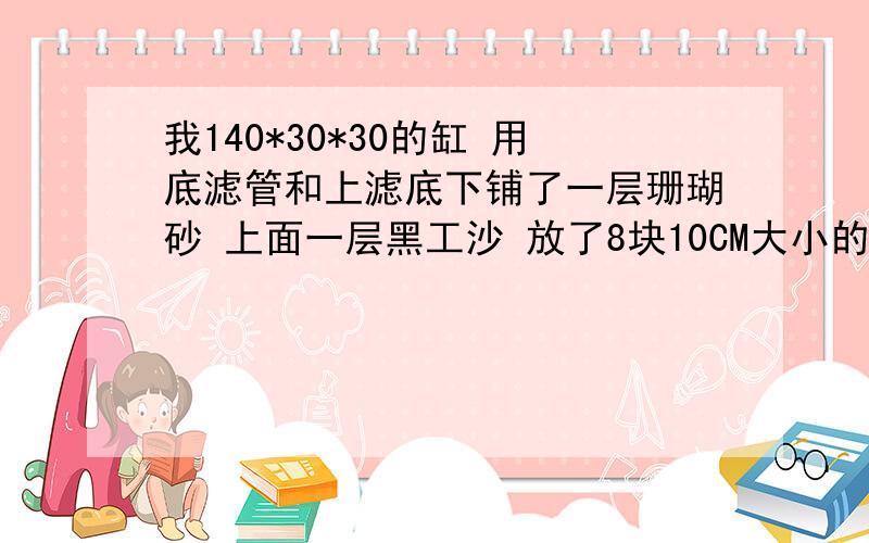 我140*30*30的缸 用底滤管和上滤底下铺了一层珊瑚砂 上面一层黑工沙 放了8块10CM大小的珊瑚石 缸里用了4个