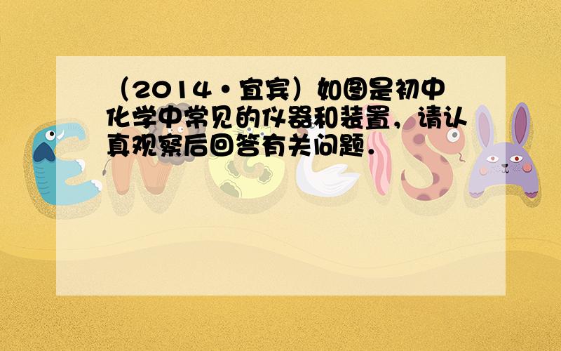 （2014•宜宾）如图是初中化学中常见的仪器和装置，请认真观察后回答有关问题．