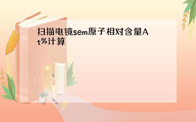 扫描电镜sem原子相对含量At%计算