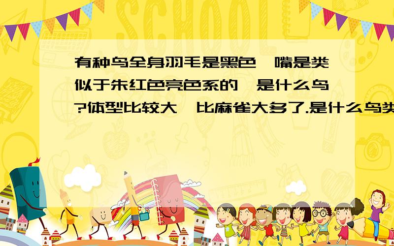 有种鸟全身羽毛是黑色,嘴是类似于朱红色亮色系的,是什么鸟?体型比较大,比麻雀大多了.是什么鸟类?