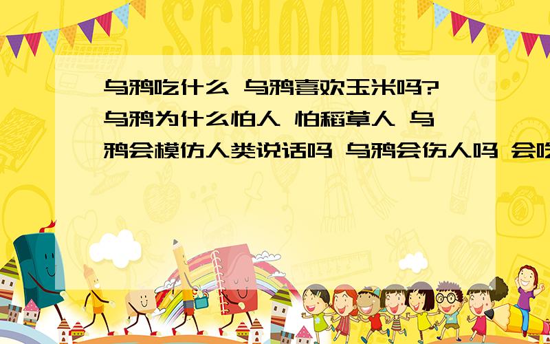 乌鸦吃什么 乌鸦喜欢玉米吗?乌鸦为什么怕人 怕稻草人 乌鸦会模仿人类说话吗 乌鸦会伤人吗 会吃肉吗