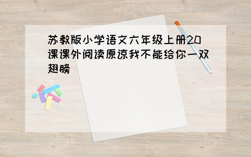 苏教版小学语文六年级上册20课课外阅读原谅我不能给你一双翅膀