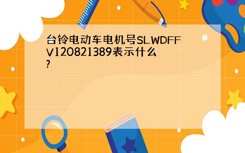 台铃电动车电机号SLWDFFV120821389表示什么?