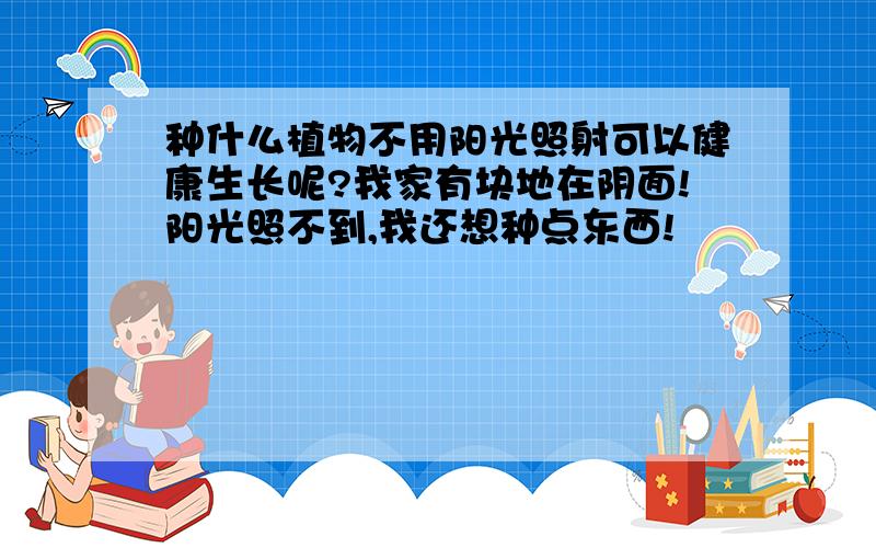 种什么植物不用阳光照射可以健康生长呢?我家有块地在阴面!阳光照不到,我还想种点东西!