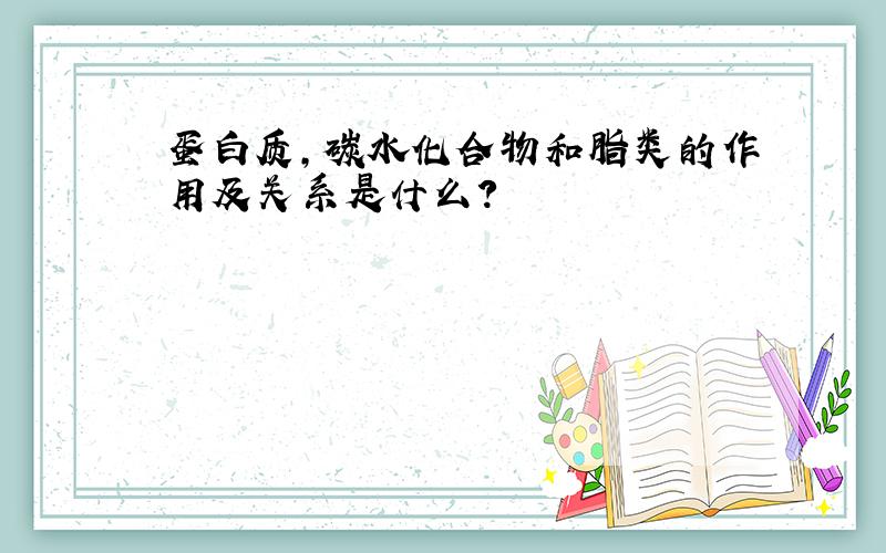 蛋白质,碳水化合物和脂类的作用及关系是什么?