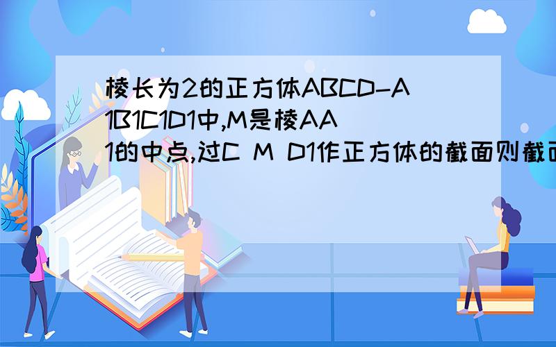 棱长为2的正方体ABCD-A1B1C1D1中,M是棱AA1的中点,过C M D1作正方体的截面则截面面积是多少?