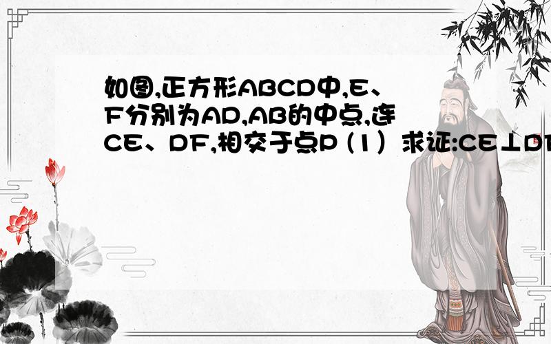 如图,正方形ABCD中,E、F分别为AD,AB的中点,连CE、DF,相交于点P (1）求证:CE⊥DF