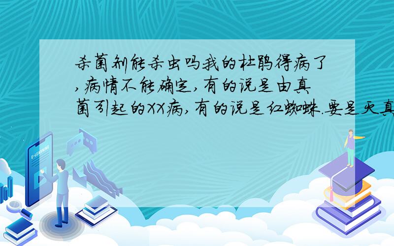 杀菌剂能杀虫吗我的杜鹃得病了,病情不能确定,有的说是由真菌引起的XX病,有的说是红蜘蛛.要是灭真菌应该用杀菌剂吧?灭虫得