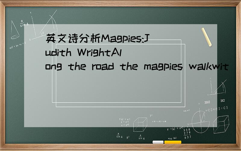 英文诗分析Magpies:Judith WrightAlong the road the magpies walkwit