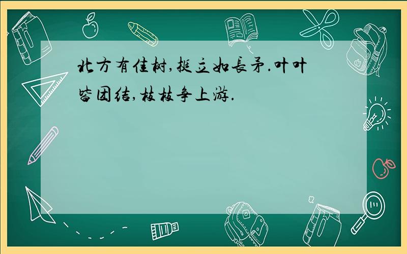 北方有佳树,挺立如长矛．叶叶皆团结,枝枝争上游.