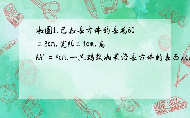 如图1,已知长方体的长为BC=2cm,宽AC=1cm,高AA′=4cm．一只蚂蚁如果沿长方体的表面从A点爬到B′点,那么