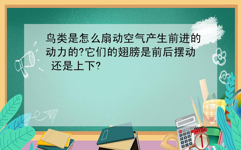 鸟类是怎么扇动空气产生前进的动力的?它们的翅膀是前后摆动 还是上下?