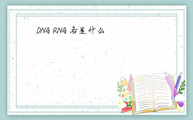 DNA RNA 各是什么