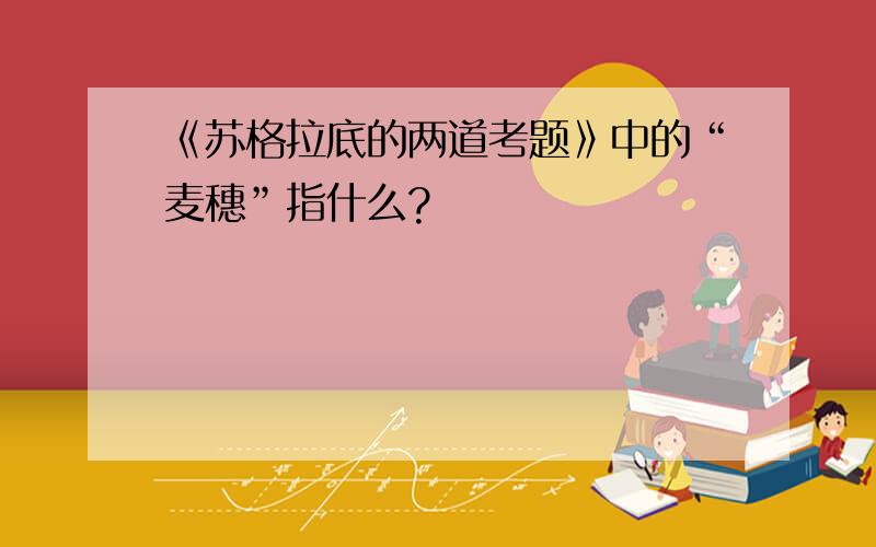 《苏格拉底的两道考题》中的“麦穗”指什么?