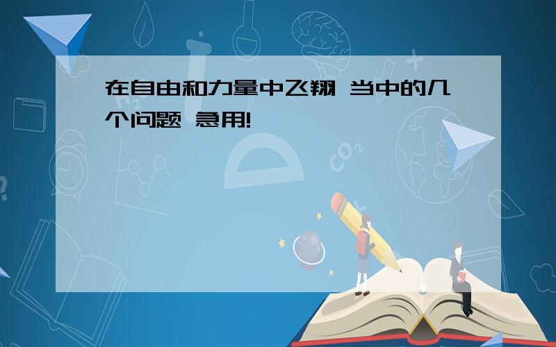 在自由和力量中飞翔 当中的几个问题 急用!