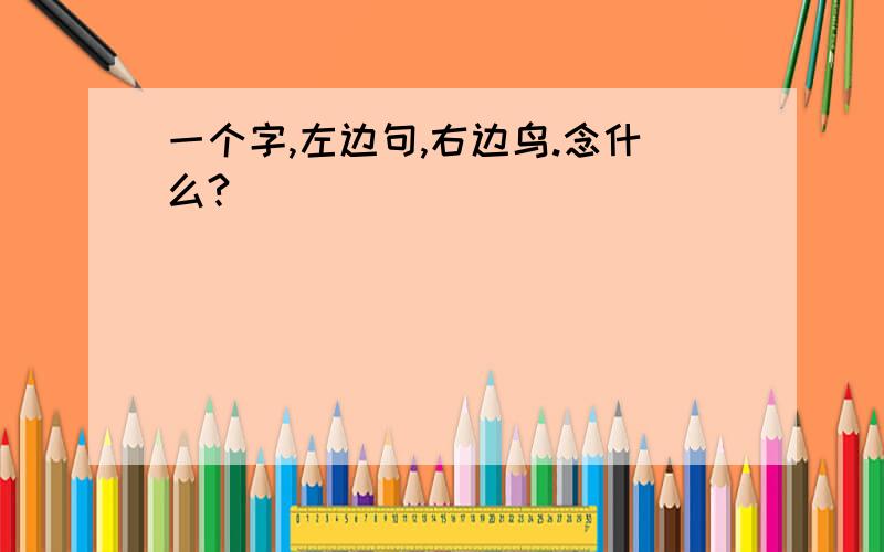 一个字,左边句,右边鸟.念什么?