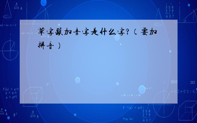 草字头加青字是什么字?（要加拼音）