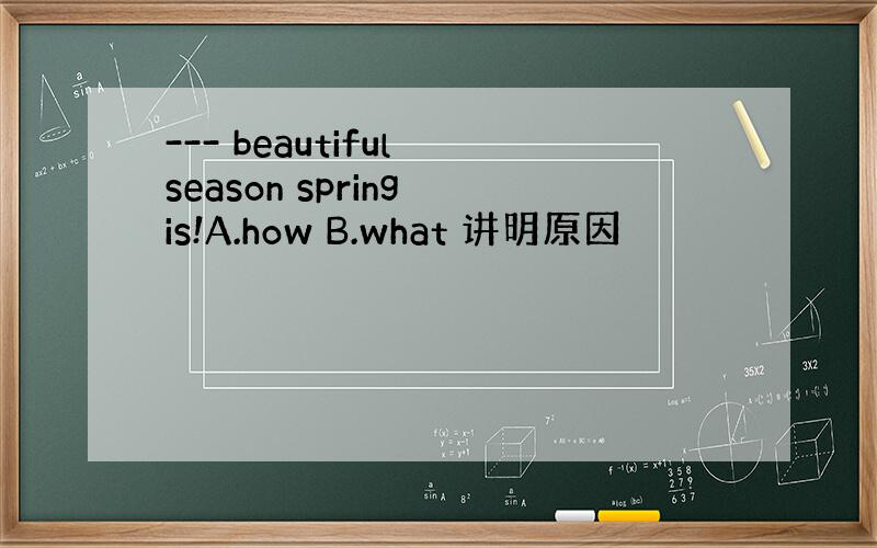 --- beautiful season spring is!A.how B.what 讲明原因