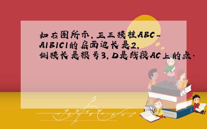 如右图所示,正三棱柱ABC-A1B1C1的底面边长是2,侧棱长是根号3,D是线段AC上的点.