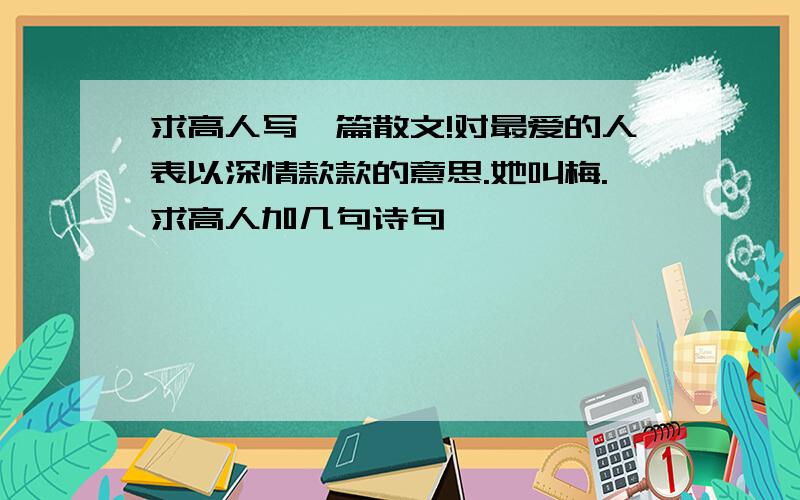 求高人写一篇散文!对最爱的人表以深情款款的意思.她叫梅.求高人加几句诗句